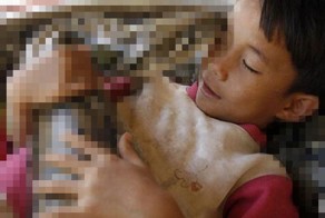 Не самый обычный домашний питомец