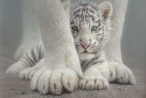 Необыкновенно реалистичные картины Коллина Богля