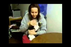 У кота сушняк