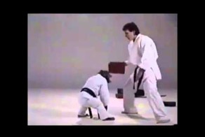 Обезьяна и тренер по каратэ 