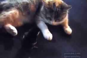 Настоящий друг