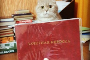 Субботний юморок