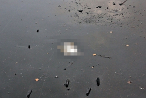 Спасение утки