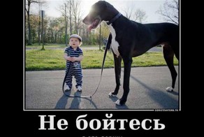 Совместный ответ по сдерживанию России.