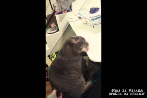 Ням ням ням какой вкусный стол