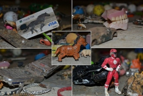 Чего только люди не смывают в канализацию