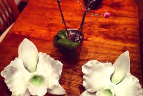 Гигантские орхидеи из стекла