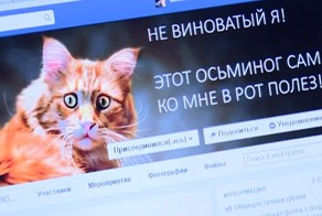 История гурмана из Владивостока: рыжий кот оказался серой кошкой