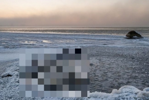 Удивительное природное явление на берегу Финского залива 