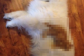 В поисках мягкости