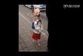 Доказательство эволюции в действии