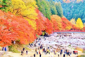 Осень в Японии 2015