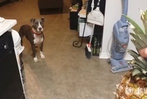 Лучшие фейлы прошедшей недели