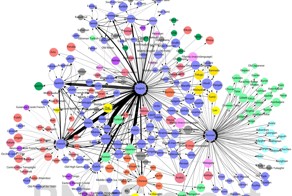 Английский и русский языки оказались важнее китайского и арабского