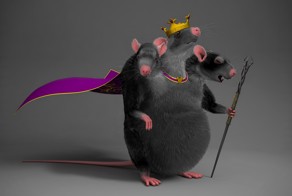 Крысиный король