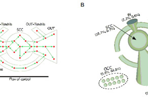 Исследование: мировой экономикой управляет одна &quot;суперкорпорация&quot;