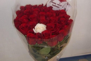 16 самых раздражающих статусов в Фейсбуке