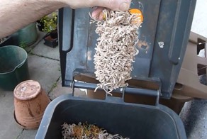 Резиновый вирус