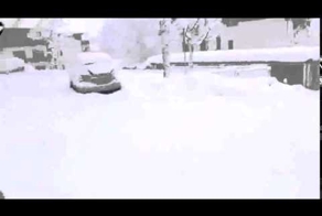 Почему не стоит выгуливать чихуахуа после снегопада