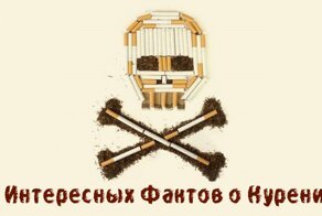 10 Интересных Фактов о Курении