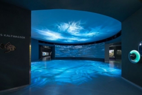 Уникальный океанариум «Голубая планета» в Дании 