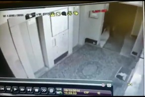 Нападение на бабушку