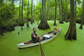 20 лучших снимков, сделанных на камеру GoPro