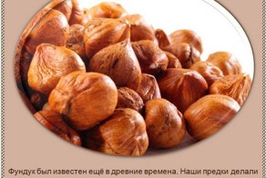 Интересные факты о разных видах орехов