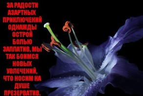 Короткие стихи на цветочном фоне