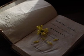 Уникальный, неожиданный набор книг в Махачкалинском кафе