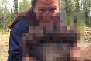 Теперь я видел много