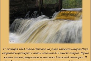 Интересные факты о разном
