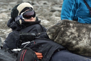 Детеныш тюленя вздремнул пару часиков, лежа на женщине