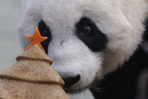 Лучшие фотографии животных со всего мира за неделю