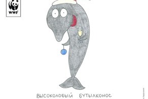 7 позитивных открыток на НГ с редкими животными