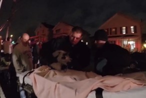 Пожарные спасли кота из огня