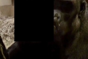 Пообщались