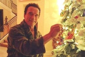 Даже Арни уже поставил елку, а ты нет