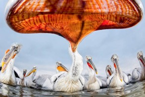 Просто хорошие фото