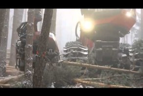 Железный дровосек