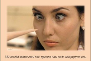 Интересные факты о разном