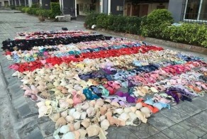 Потолок не выдержал 2000 украденных предметов нижнего белья