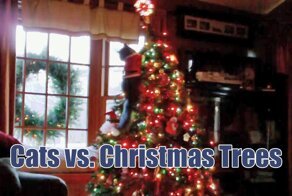 Кошки против новогодних елок