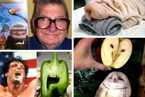 Неожиданные сходства, окружающие нас