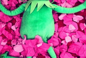 Римейки классики Голливуда с лягушкой Кермитом