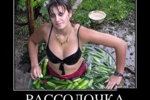 Подборка демотиваторов