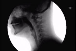 Познавательные гифки