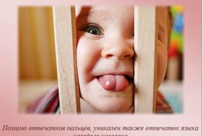 Топ-10 самых интересных фактов обо всем