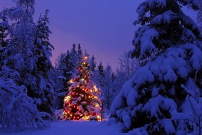Фотографии, которые подарят вам новогоднее настроение