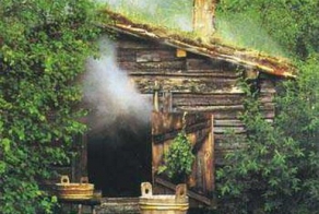 Как Русичи Европу мыться учили